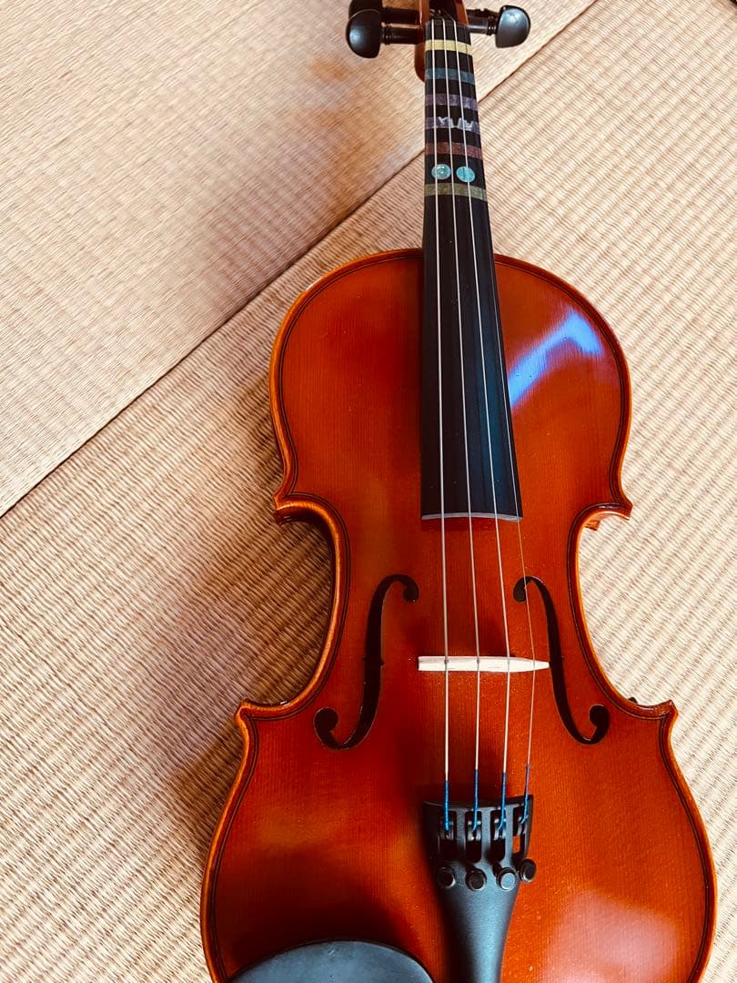 【イーストマン分数バイオリン1/2】