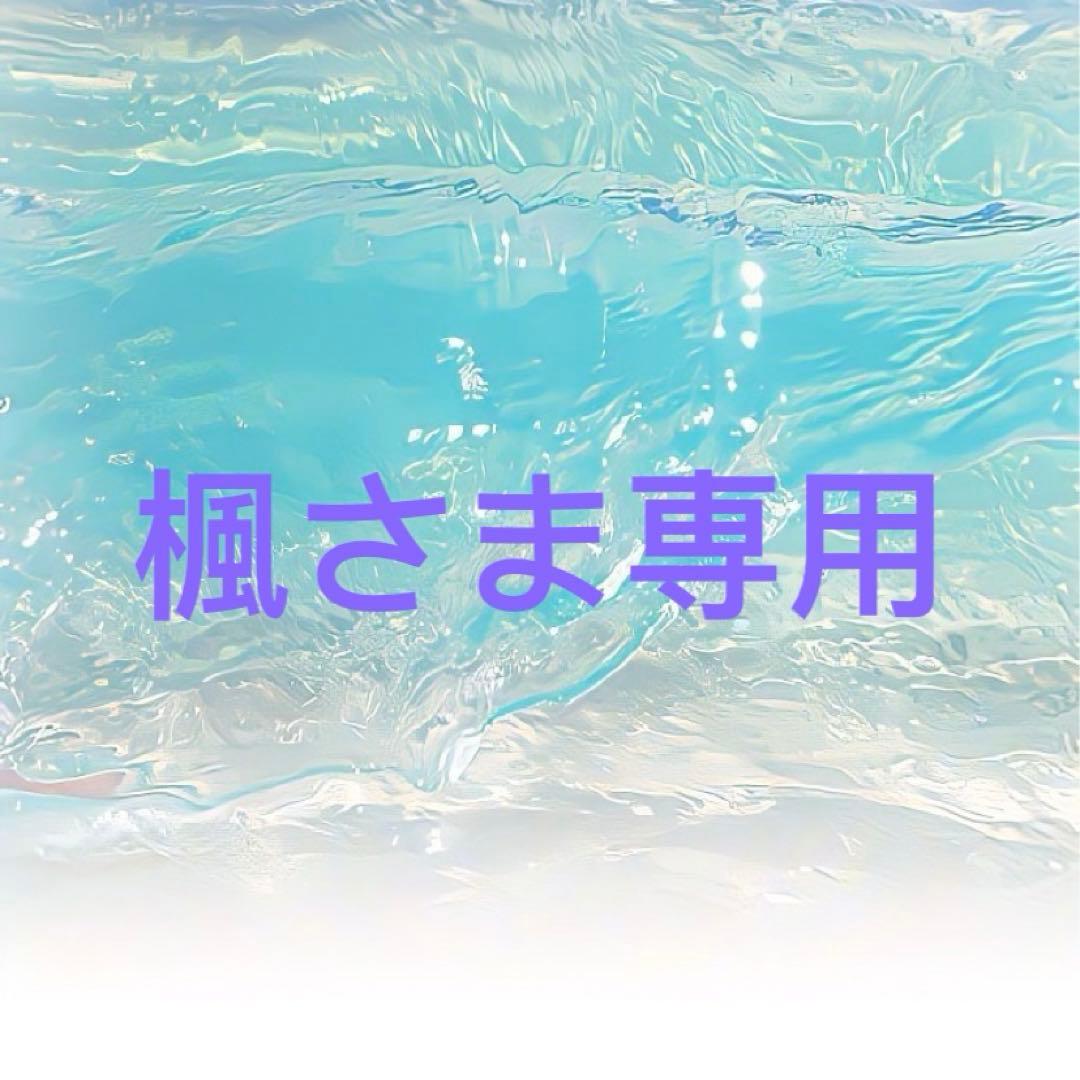 楓さま専用