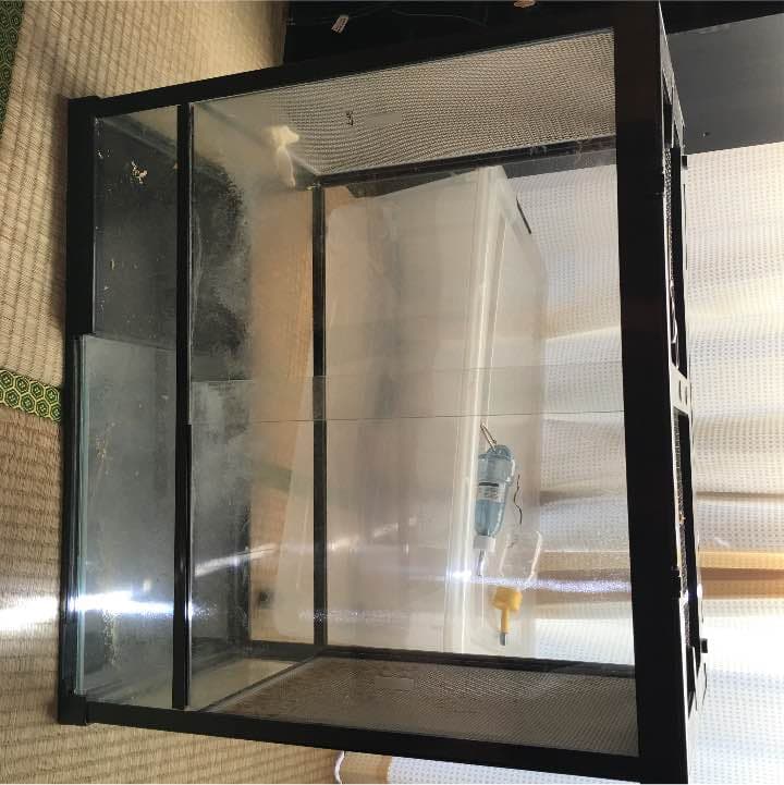 爬虫類ゲージ