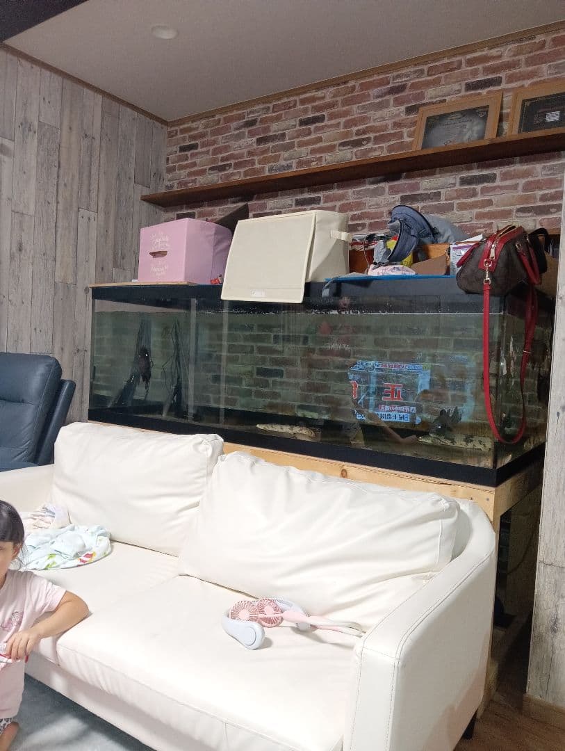 大型アクリル水槽 アロワナ飼育用