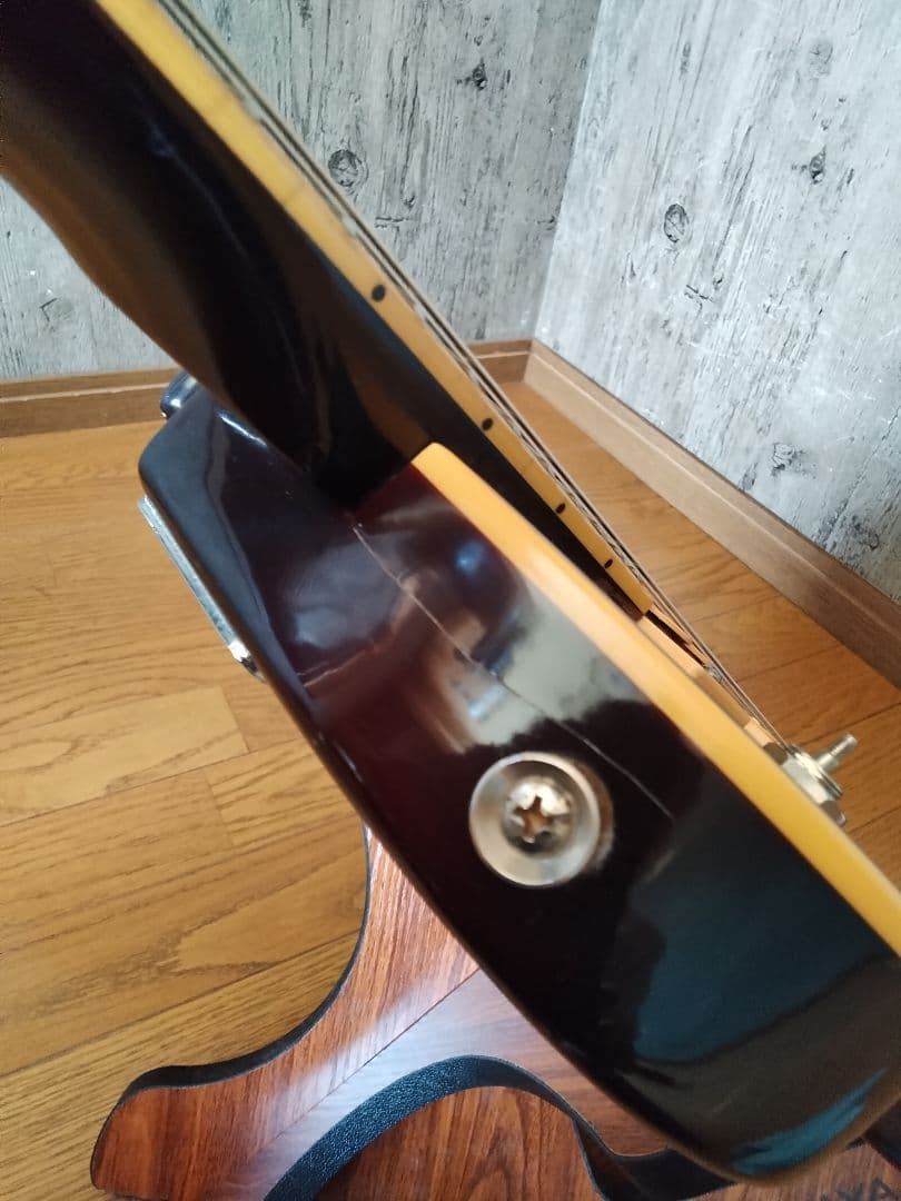 Vision　RP-250 　レスポールタイプ　ギター