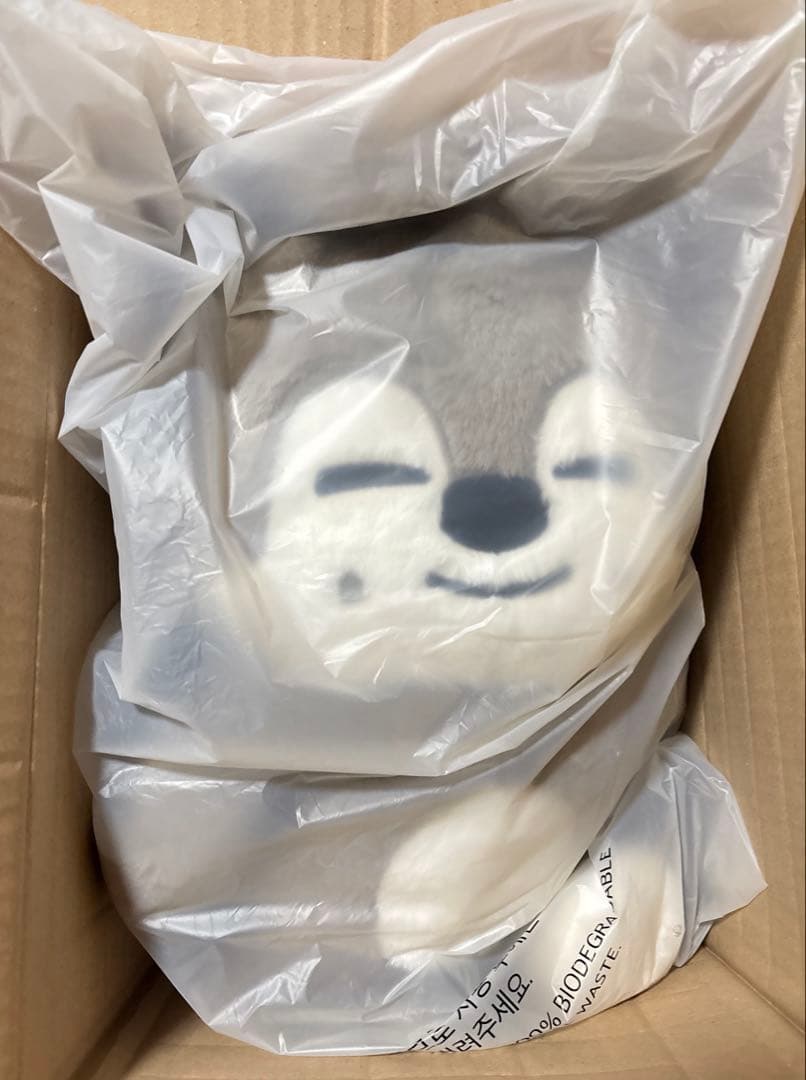 StrayKids MD SKZOO テディベア ウルフチャン バンチャン