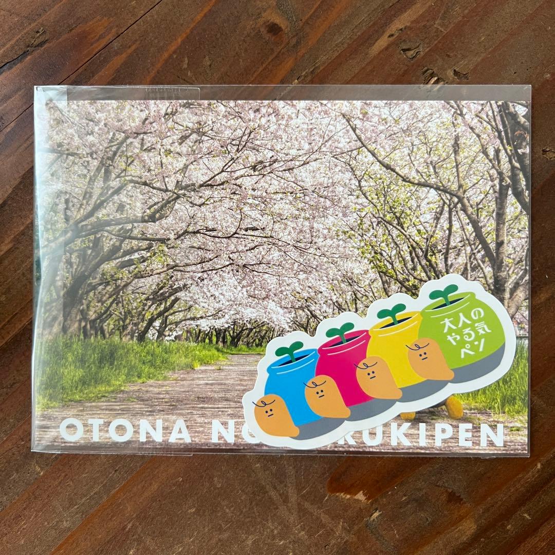 【美品】コクヨ 大人のやる気ペン NST-YRKA1