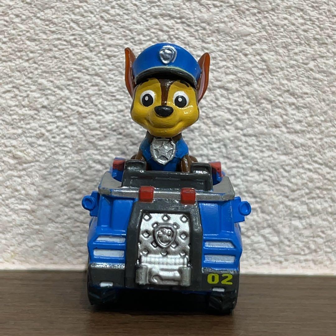 【 shibainu51 】