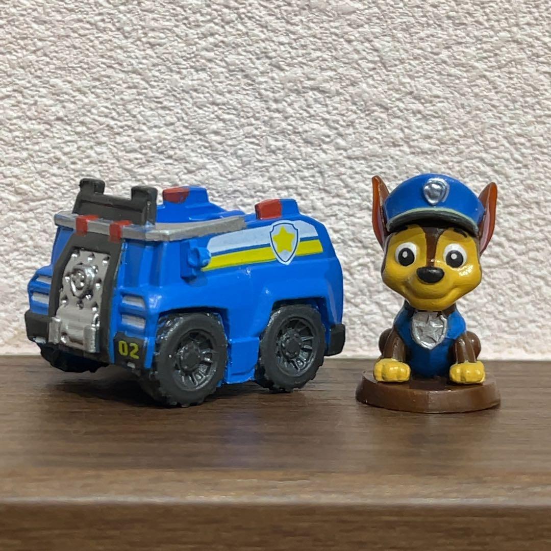【 shibainu51 】