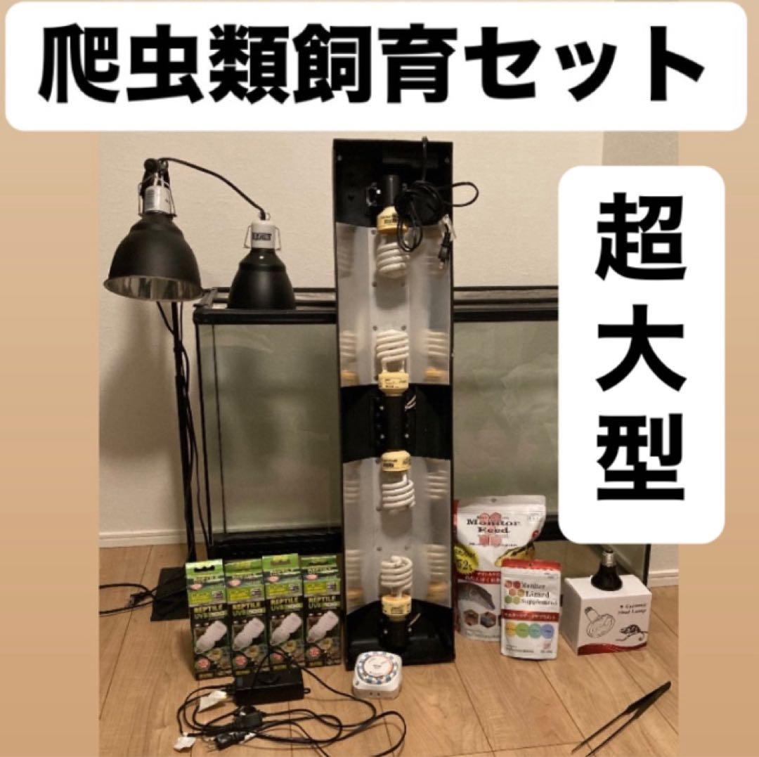 爬虫類飼育セット 90x45x60グラステラリウム 爬虫類ケージ GEX