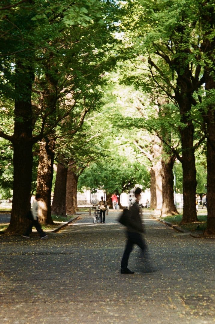 【動作OK 作例あり】Olympus μ Zoom 105 フィルムカメラ