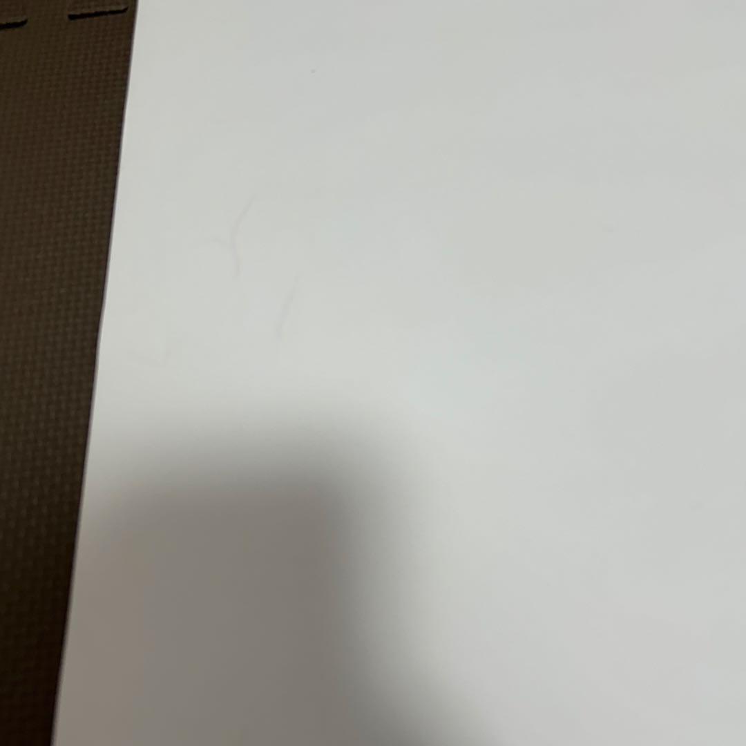 イクイノックス　ポスター　第166回天皇賞秋