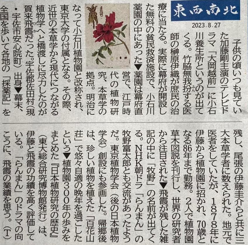 賀来飛霞 彩色花弁圜 希少 墨彩画 日本画 牧野富太郎 小石川植物園 大分県