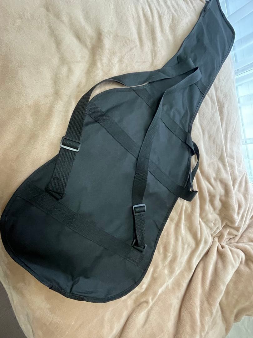 エレクトリックベース　プレシジョンタイプ　 新品弦に交換済み