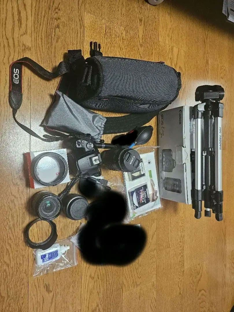 Canon EOS kiss X10 ダブルズームレンズキット　単焦点レンズ