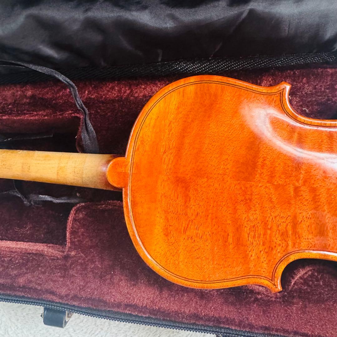 希少虎杢　高級バイオリン　カルロ・ジョルダーノ　1/10弦楽器　音楽