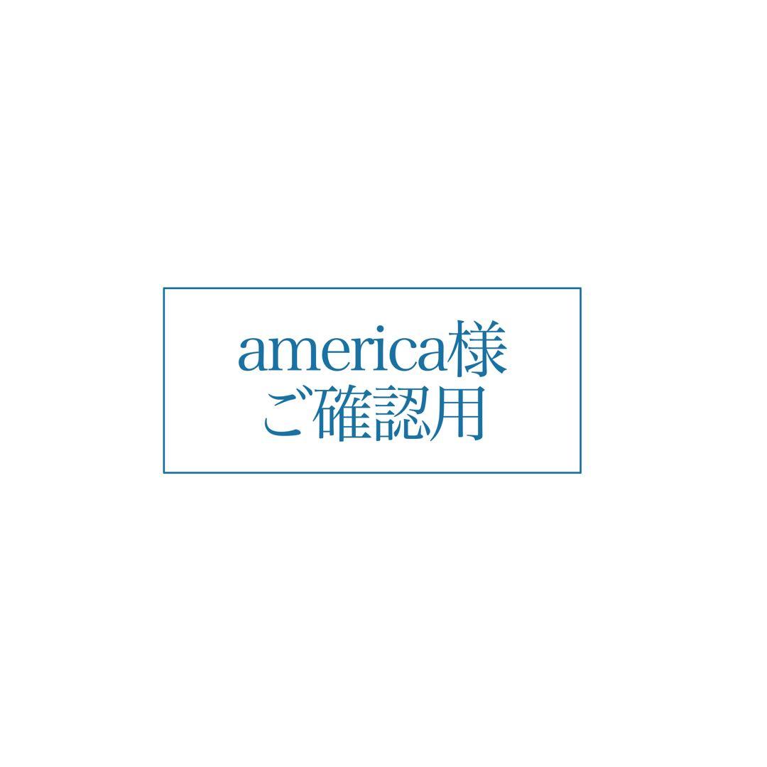 america様 ご確認用ページ
