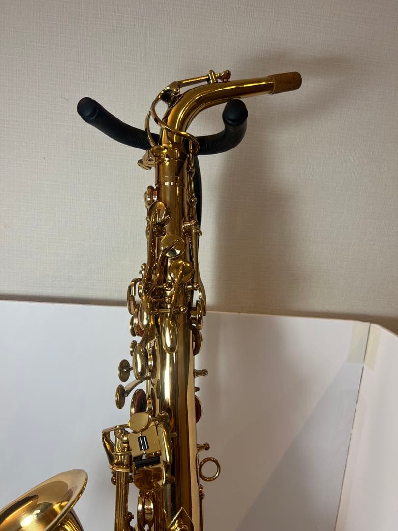 Mavis アルトサックス WB09 管楽器