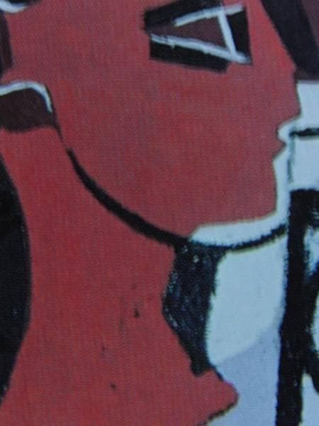 ピカソpicasso、鳥籠、希少画集画、新品高級額、額装付、状態良好