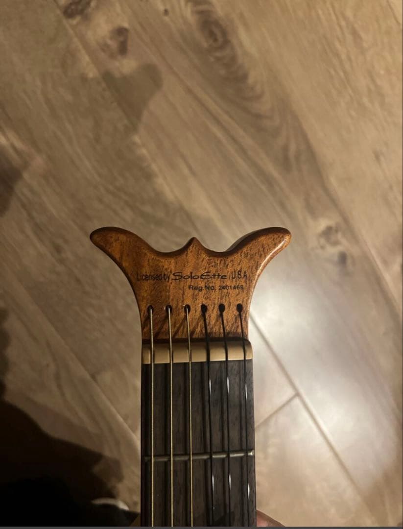 ARIA ギター