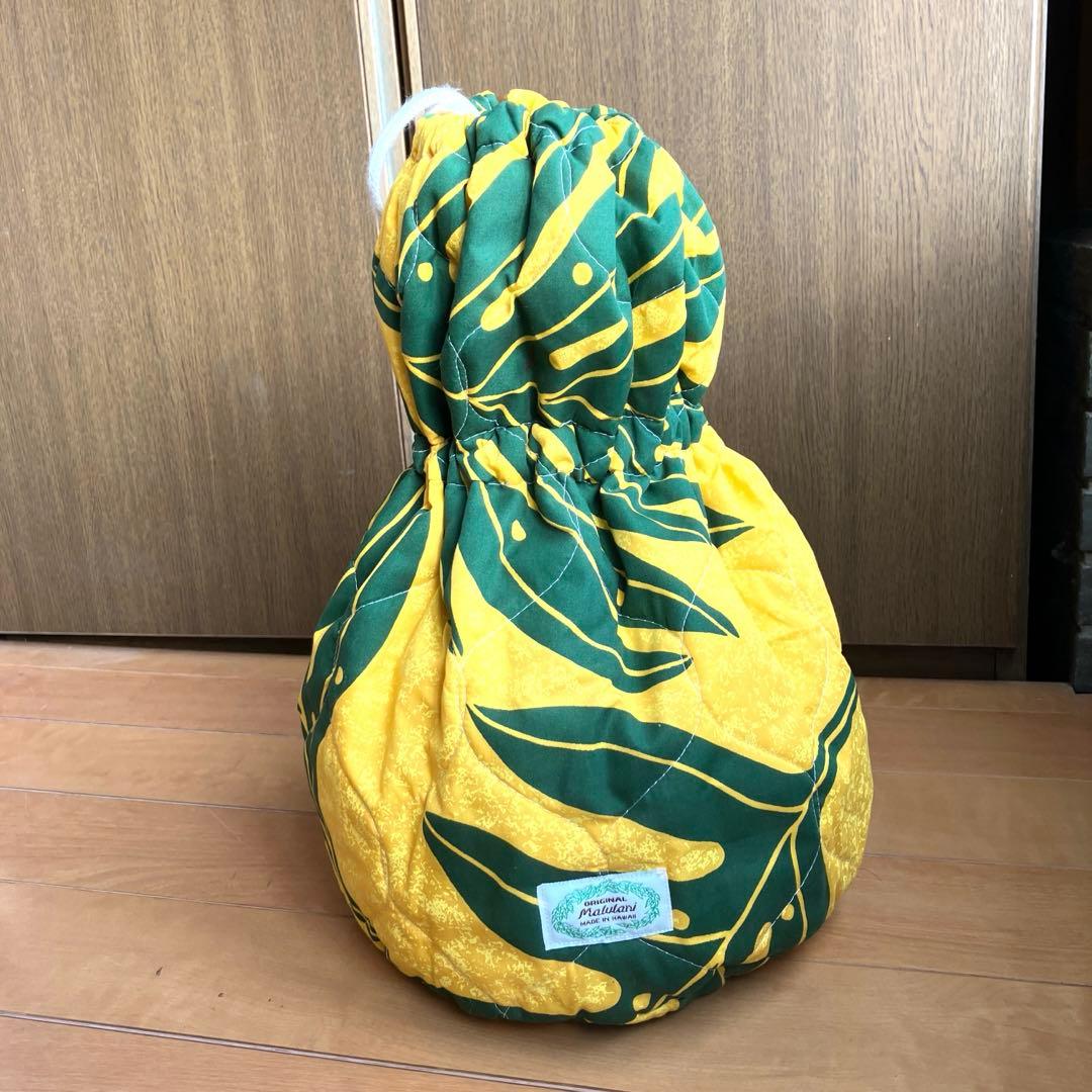 フラダンス　楽器　イプ