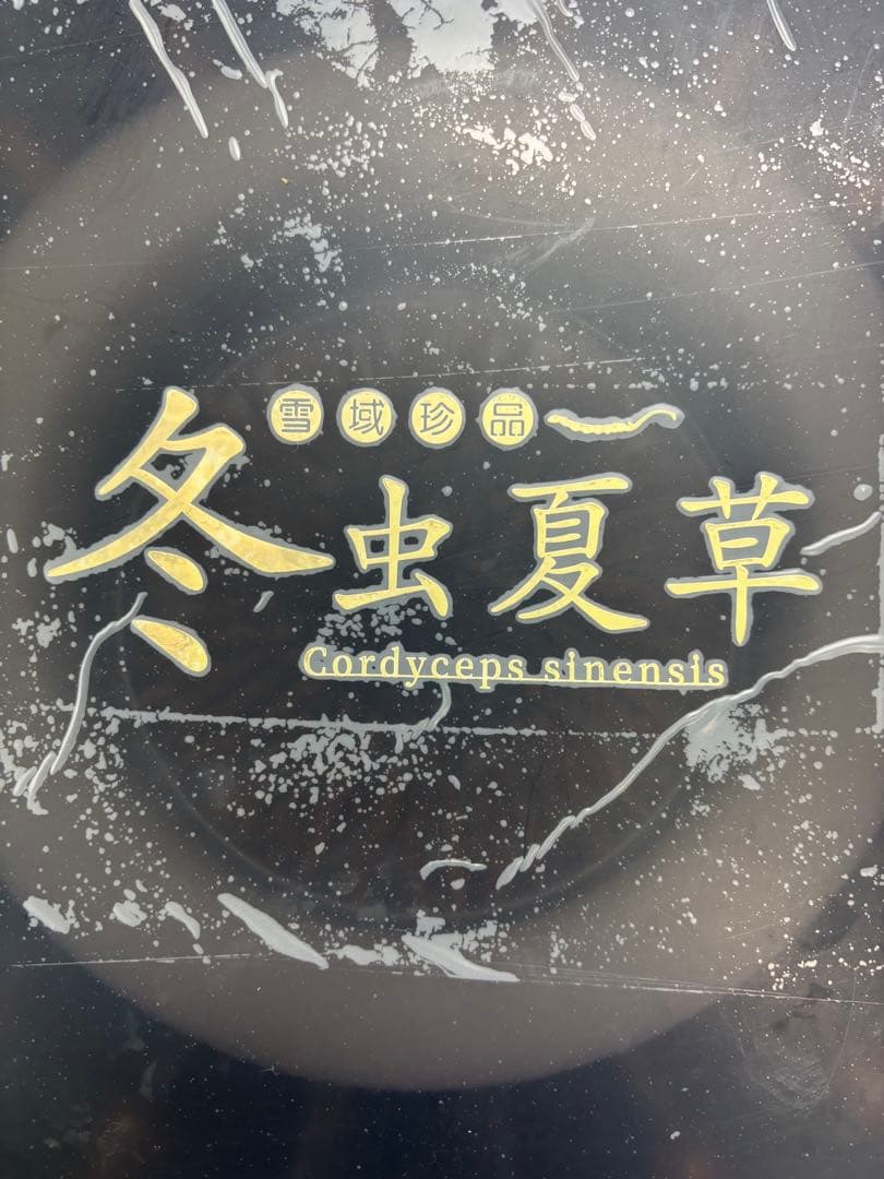 冬虫夏草