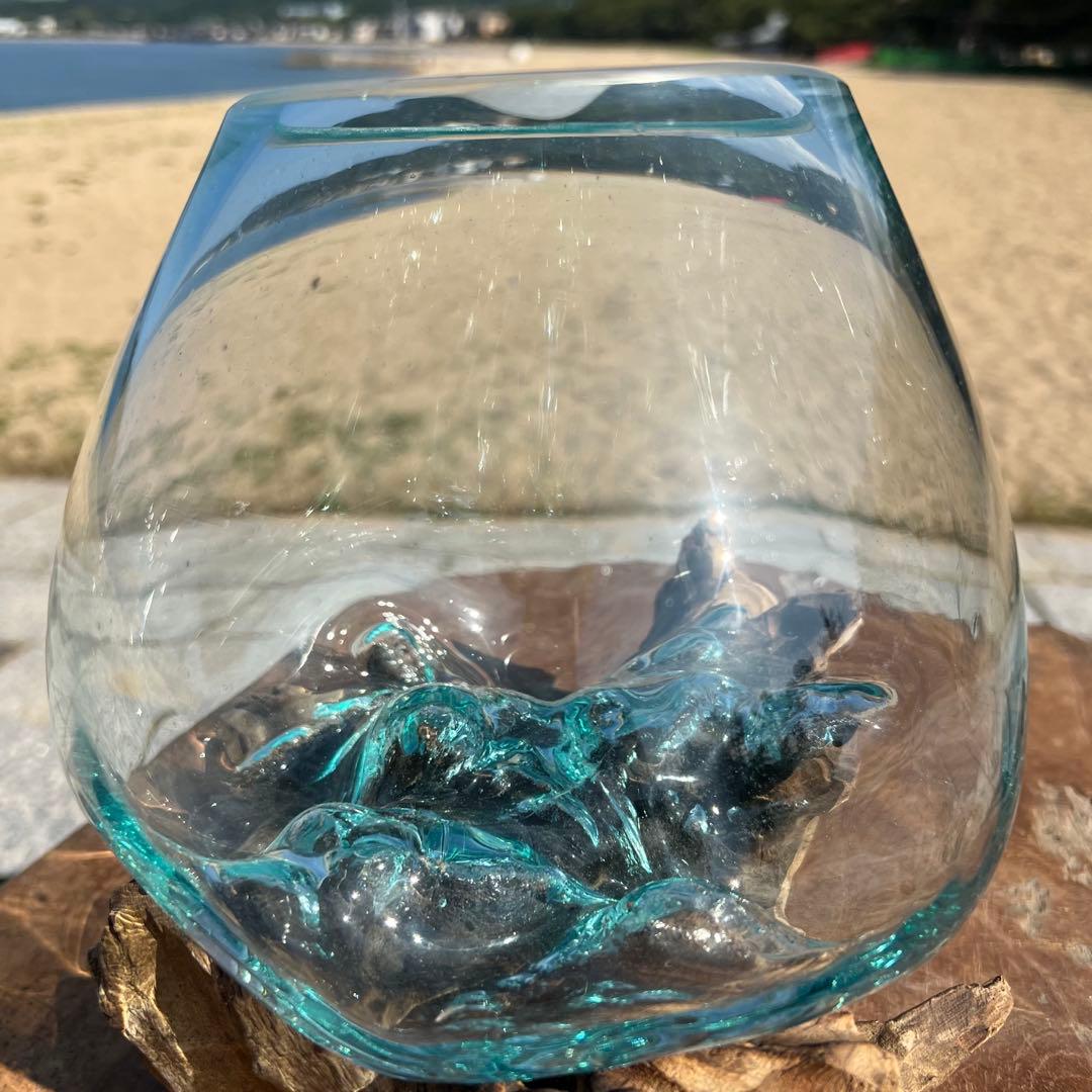 流木ガラス オブジェ中R 花瓶 金魚鉢 ガーデニング テラリウム 観賞魚 容器