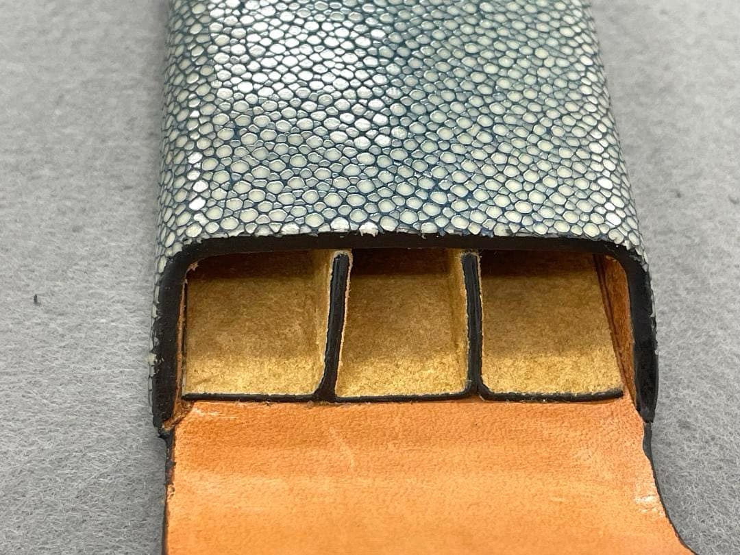 【希少素材•未使用】GANZO ガンゾ スティングレイ ガルーシャ　ペンケース