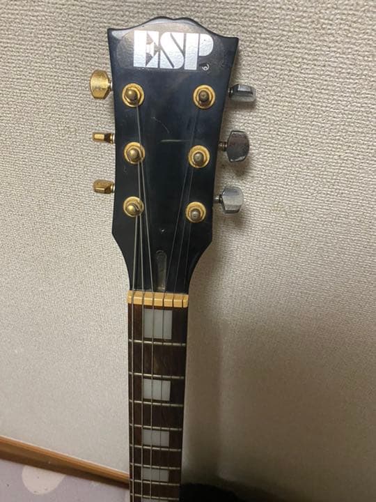 エレキギター ケース付き  値下げ交渉受け付けます