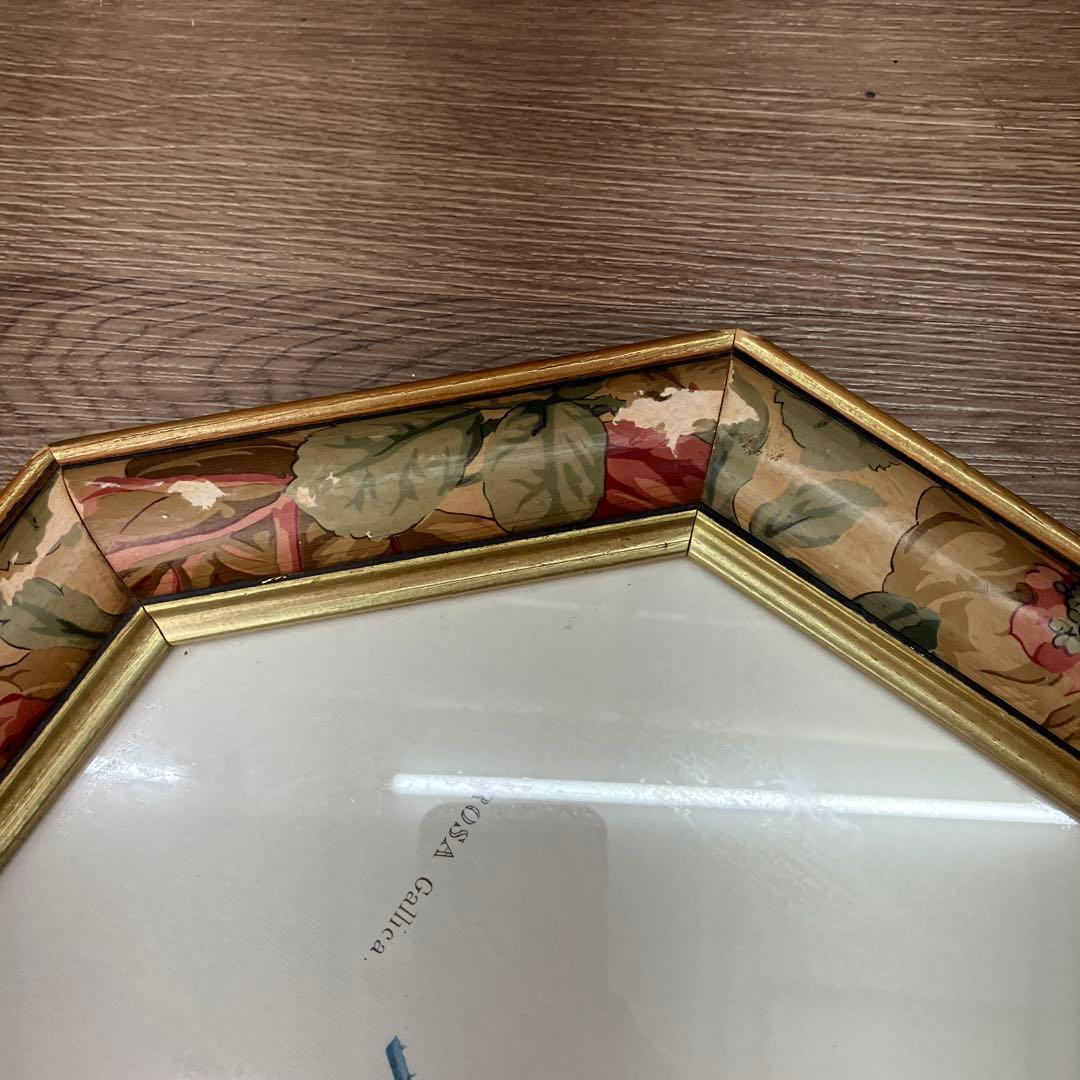 【イタリア製】ボタニカルアート 八角形 額縁 額装 薔薇 ロサ・ガリカ 花 絵画