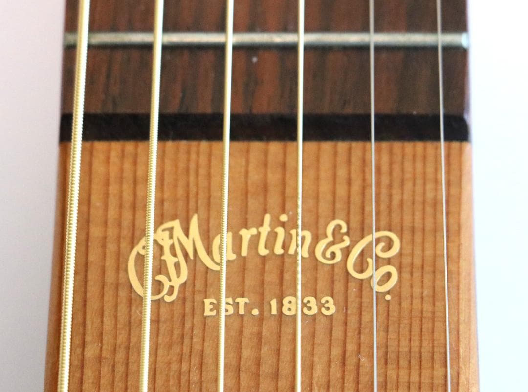 ★マーチンバックパッカーMartinTheBackpackers純正GIGケース