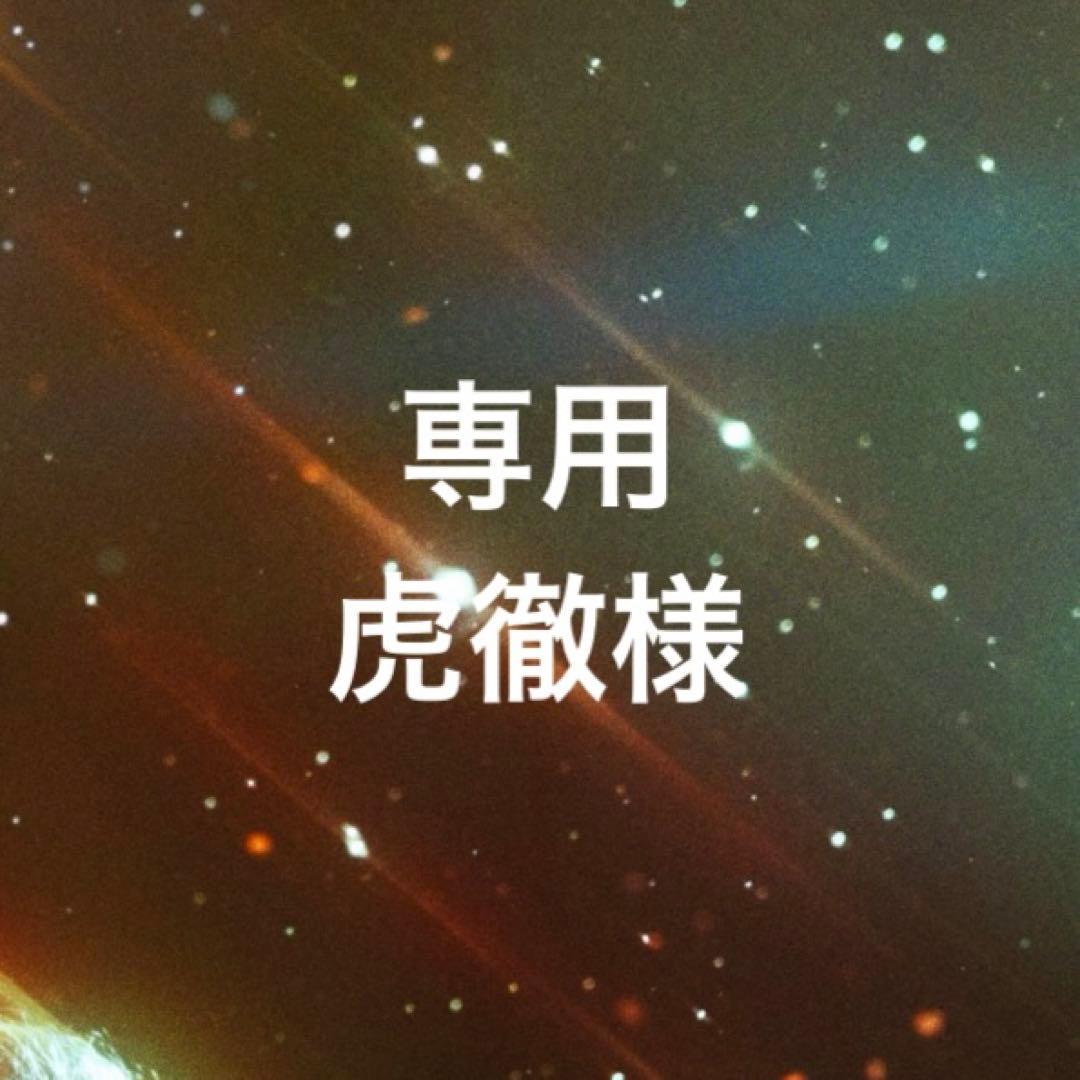 専用ページ 虎徹【発送は現在、ほぼ匿名配送】様
