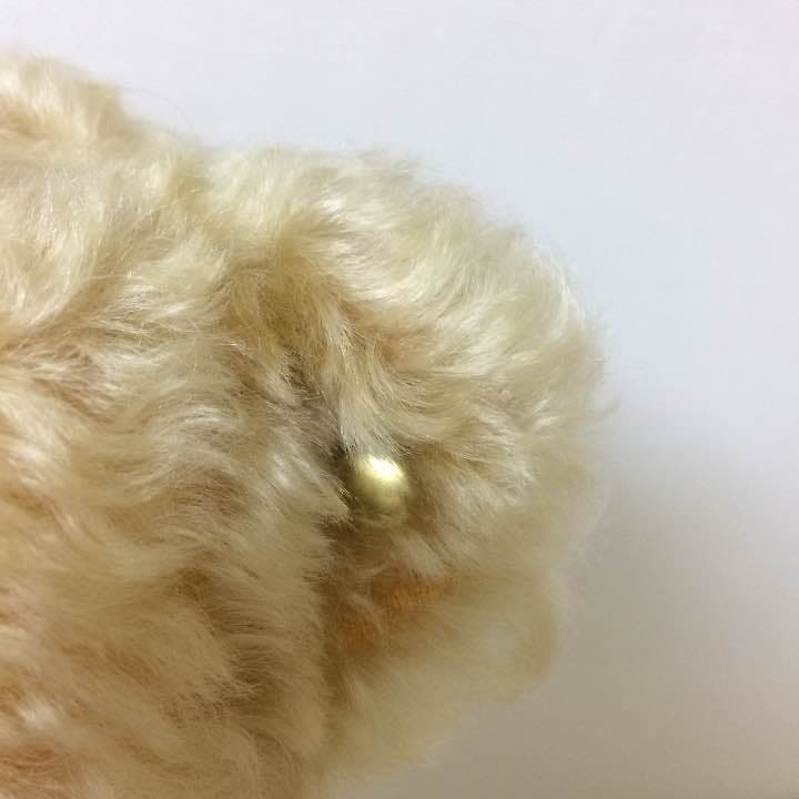 ドイツのテディベア