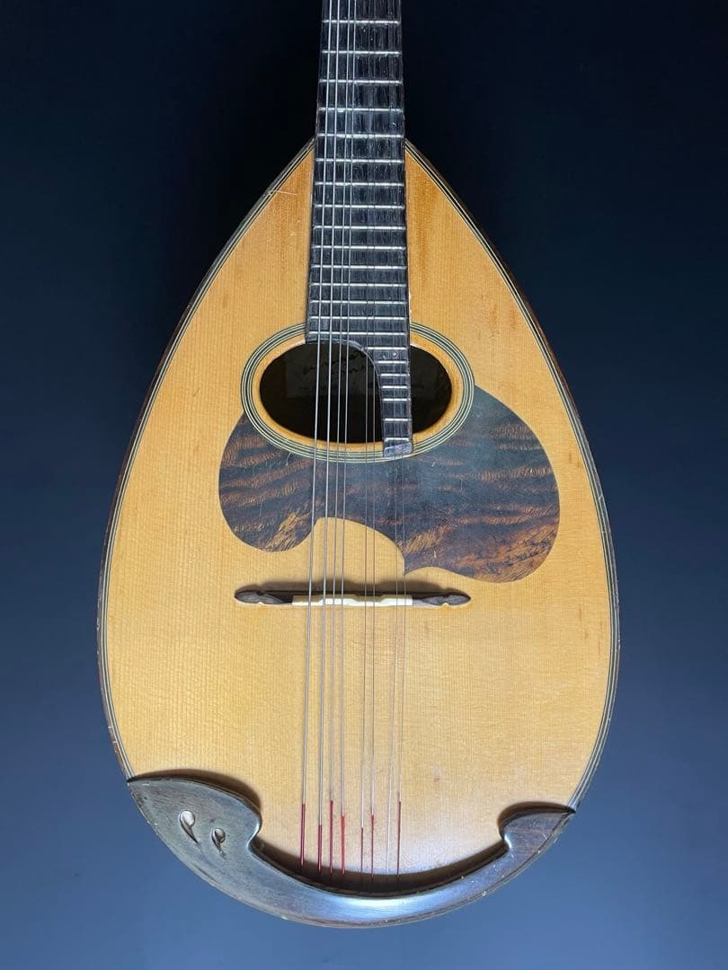 SUZUKI スズキ M-50 マンドリン ハードケース付き