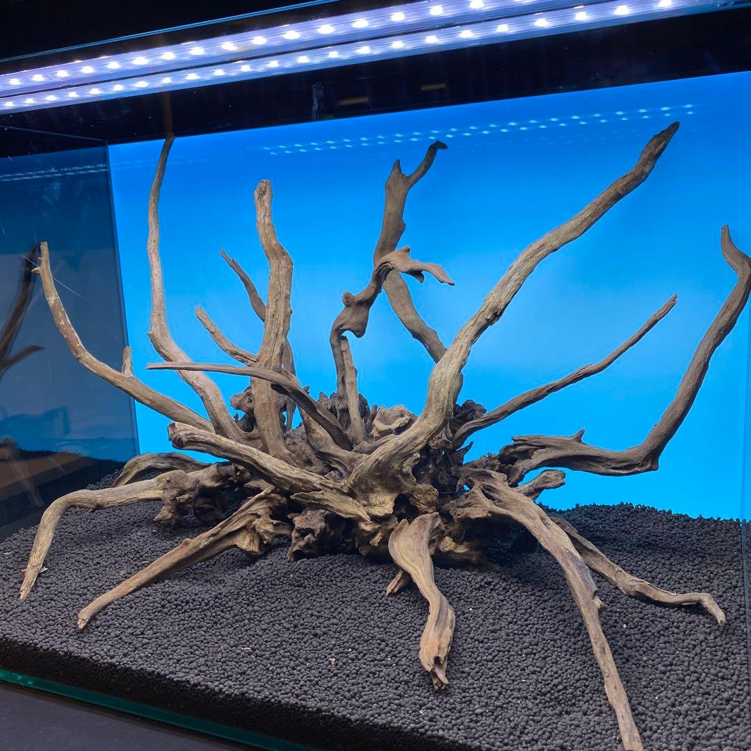MSRW-6756 スリムウッドレイアウトセット　60cm水槽用流木アクアリウム