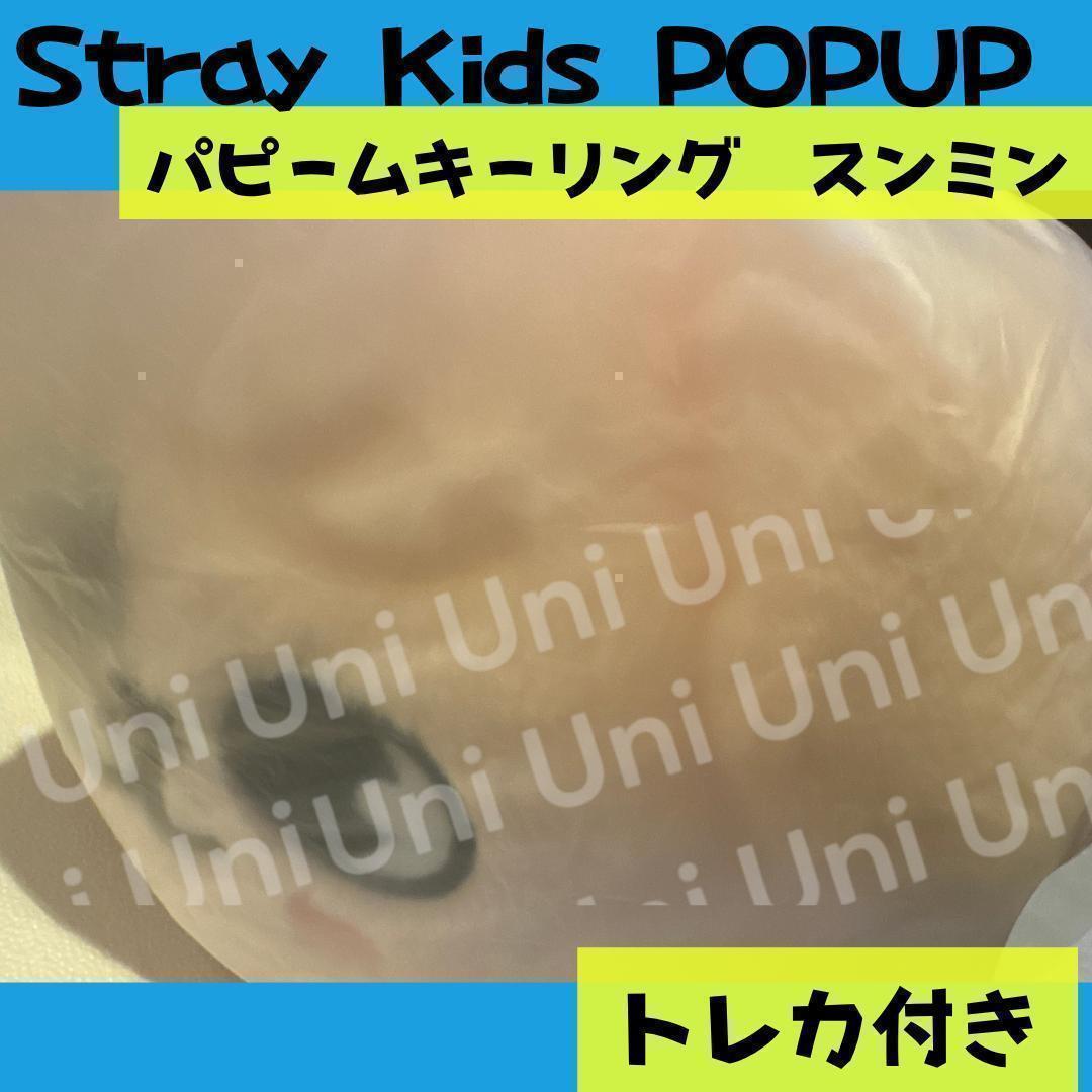 スキズ　POPUP スンミン　パピーム　抱き枕　メンプロ　J492
