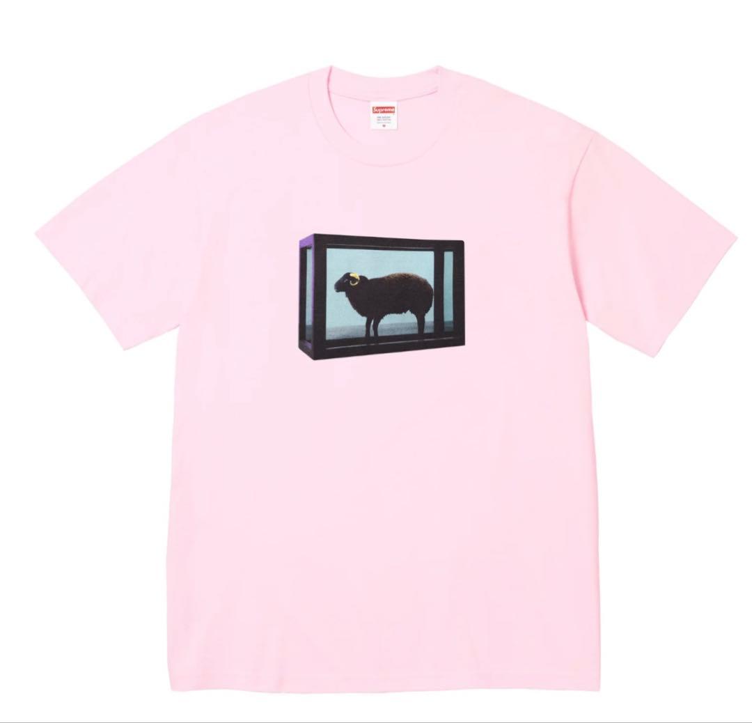 Supreme / Damien Hirst Tee ピンク