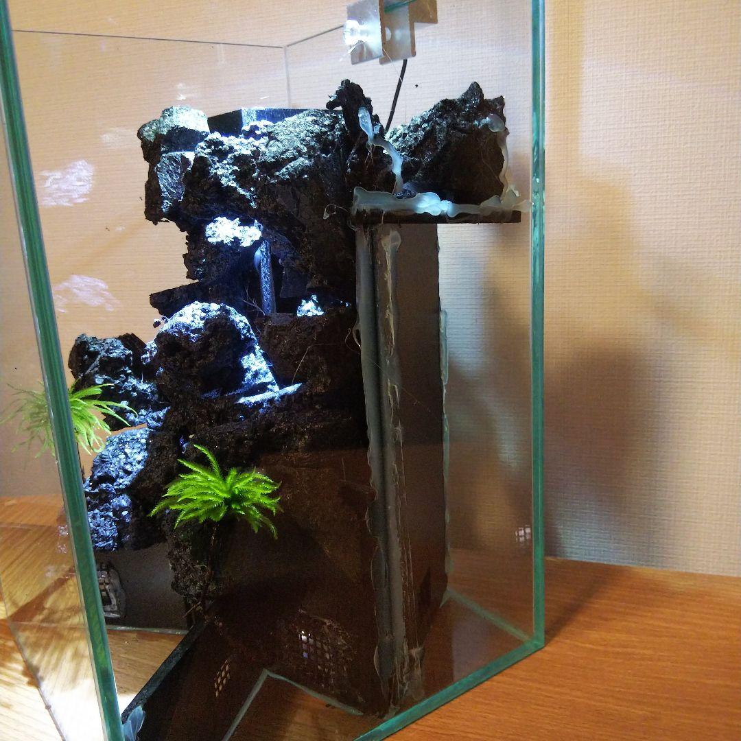 【完成品】滝の流れるアクアテラリウム　イモリウム　苔　　アクアテラリウム完成品