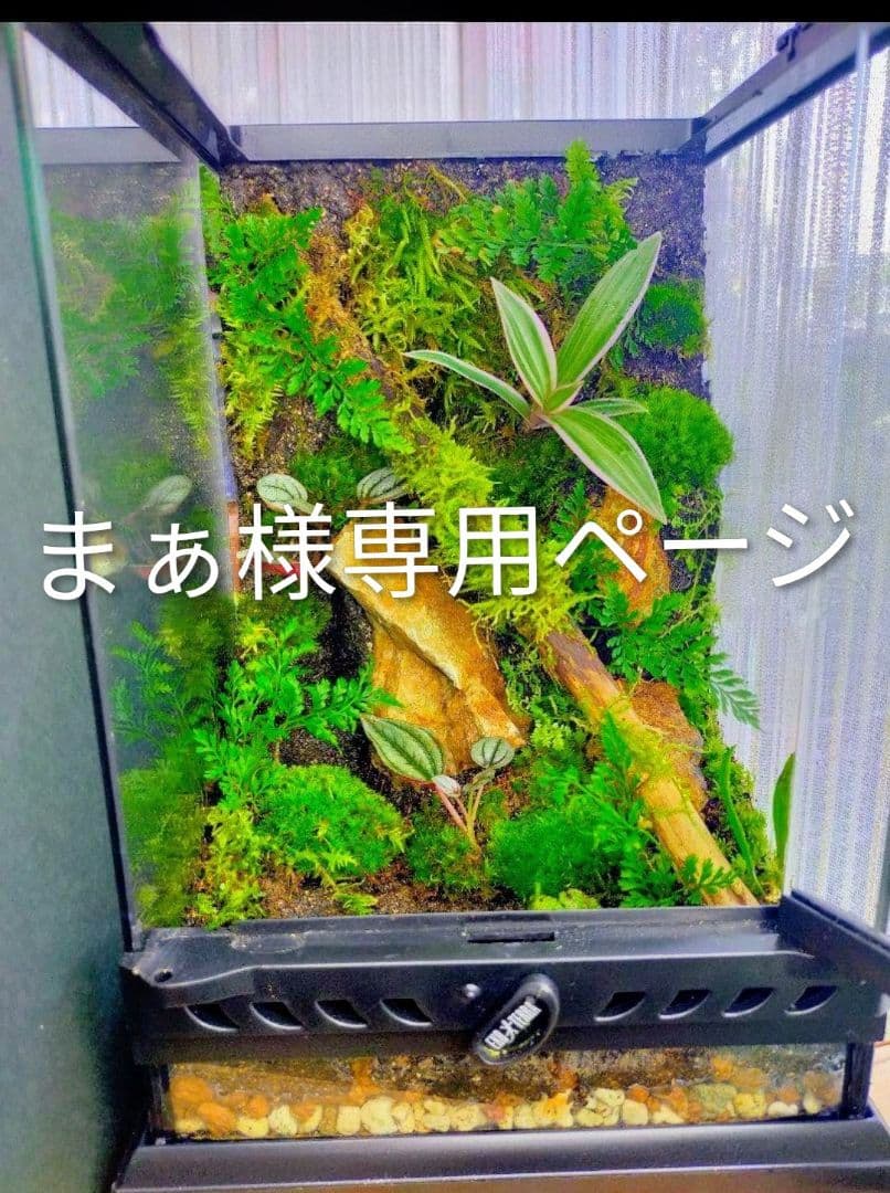 まぁページ