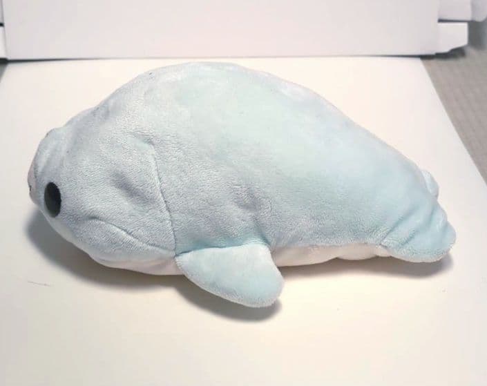 まめゴマ　2種セット　白＆水色