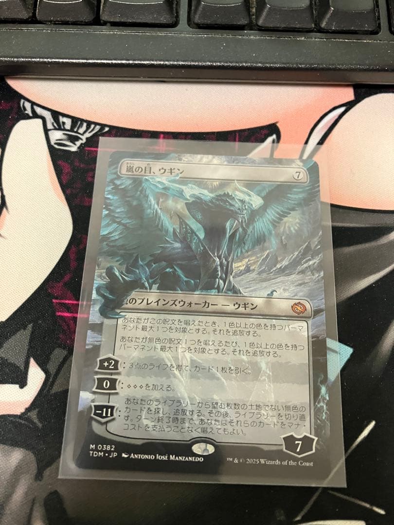 嵐の目、ウギン　ショーケース