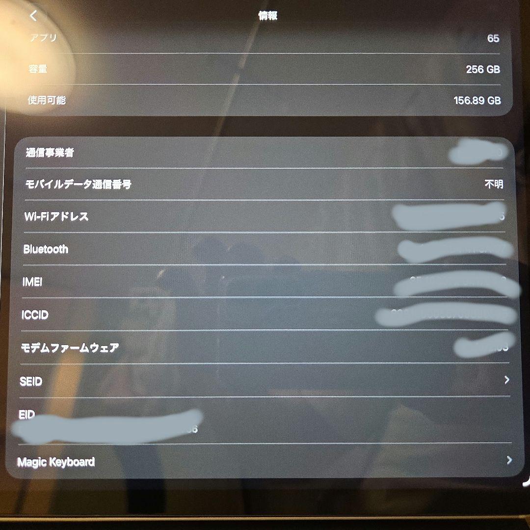 iPad Pro 11インチ 第4世代(M2) Cellular 256GB