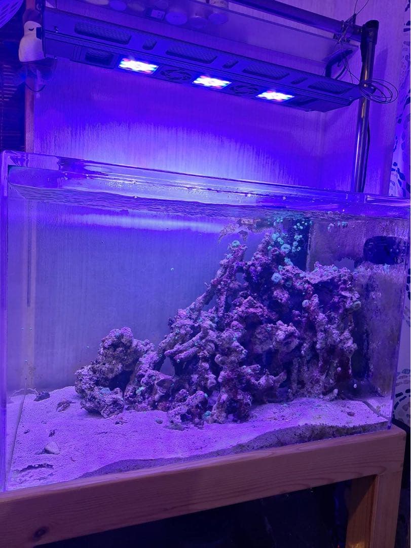 オーバーフロー水槽一式 アクリル750×500×500スプラッシュオリジナル