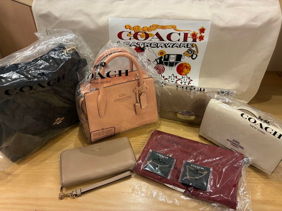 COACH アンドレア　キャリーオール　フェイデットブラッシュ　ピンクベージュ