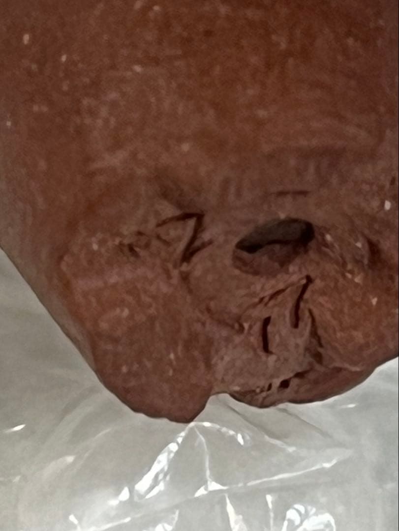 盆栽鉢　植木鉢　陶芸　園芸　盆栽