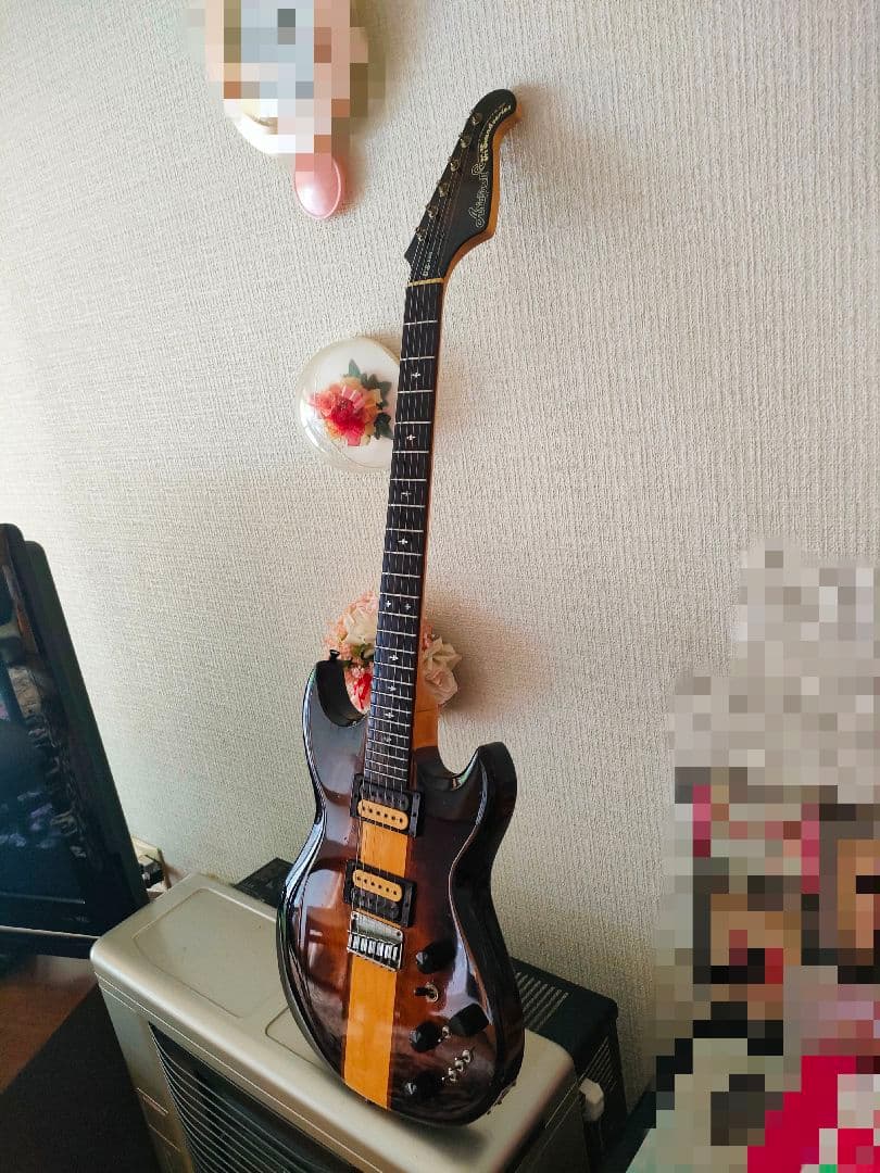 aria pro Ⅱ TS-500