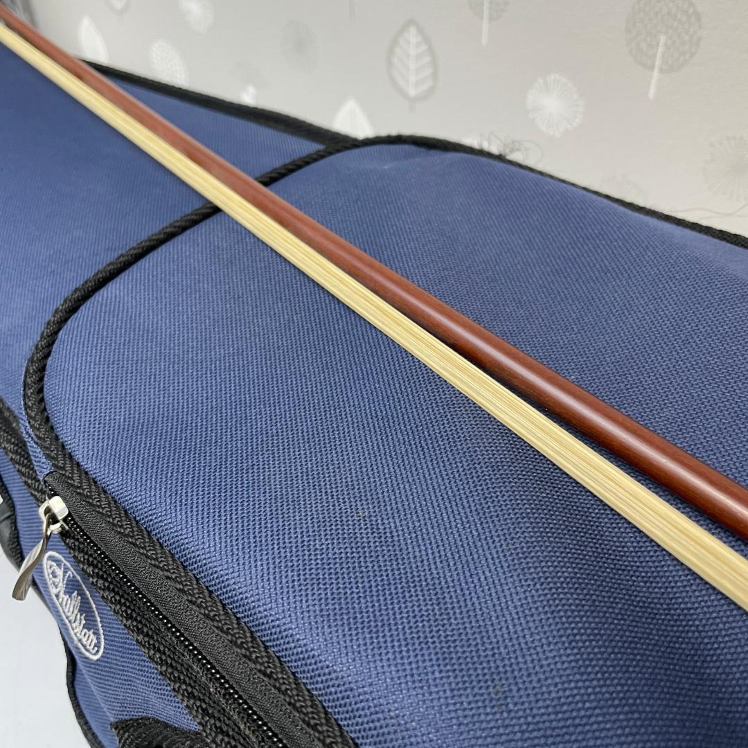 美品 CV-210E ハルシュタット エレクトリックバイオリン