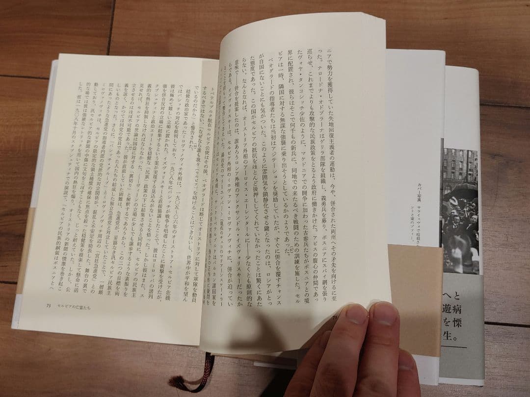 夢遊病者たち 第一次世界大戦はいかにして始まったか 1 2 セット