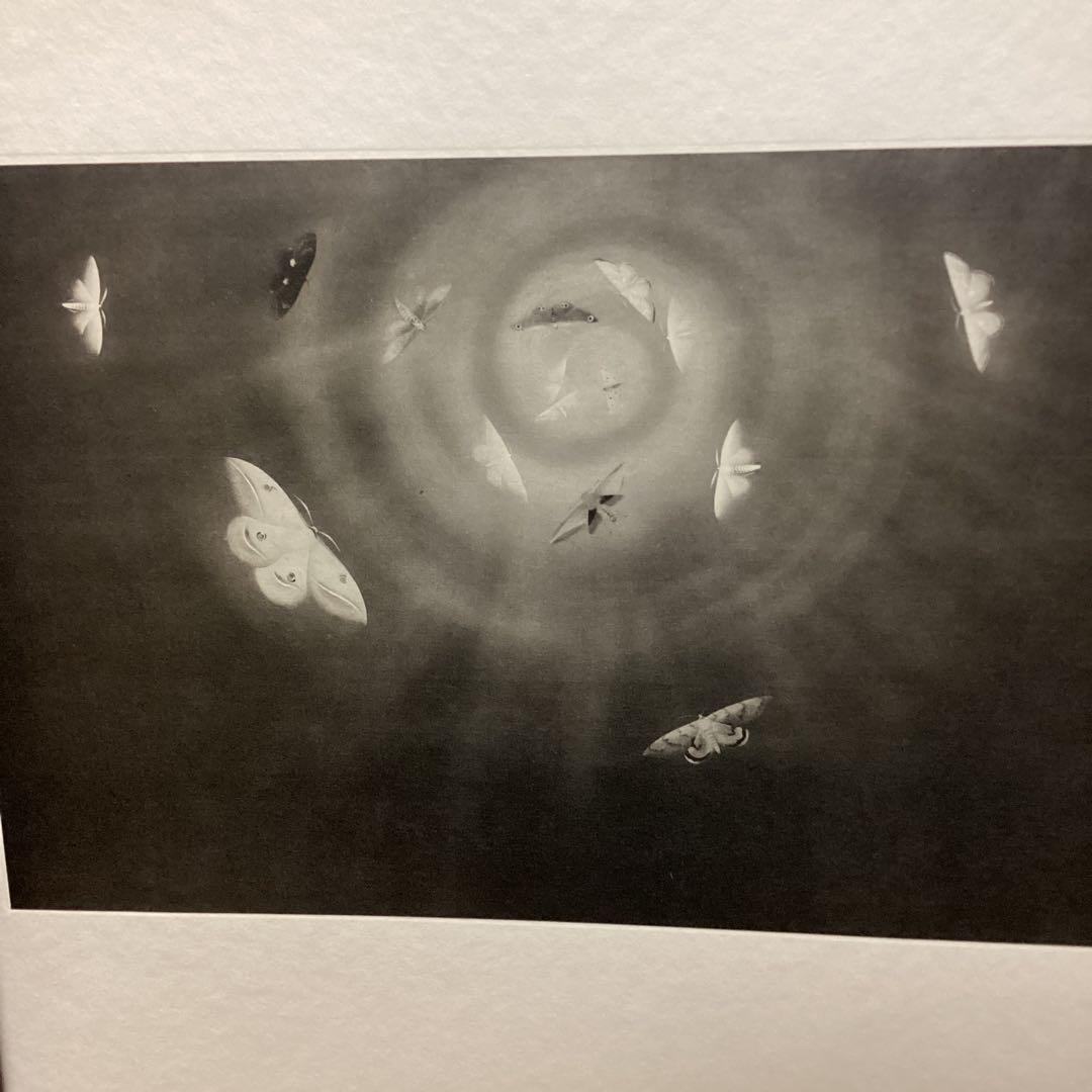 天才画家速水御舟　作品集大作編便利堂監修　画集NO 18 【昆虫二題粧蛾舞戯】
