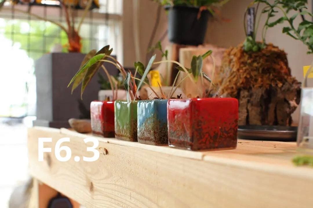 CANON EF 50mm f/1.2L USM 単焦点レンズ