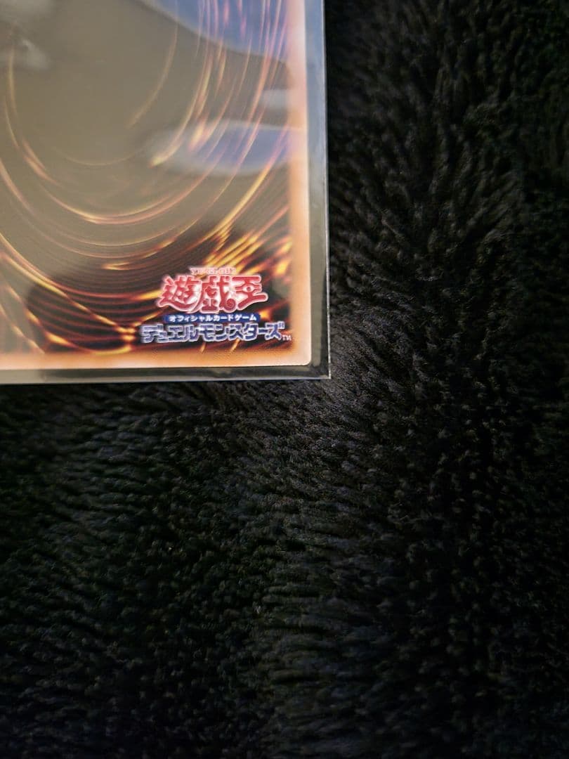遊戯王クウォーターセンチュリーアートコレクション青眼の白龍クオシク絵違い
