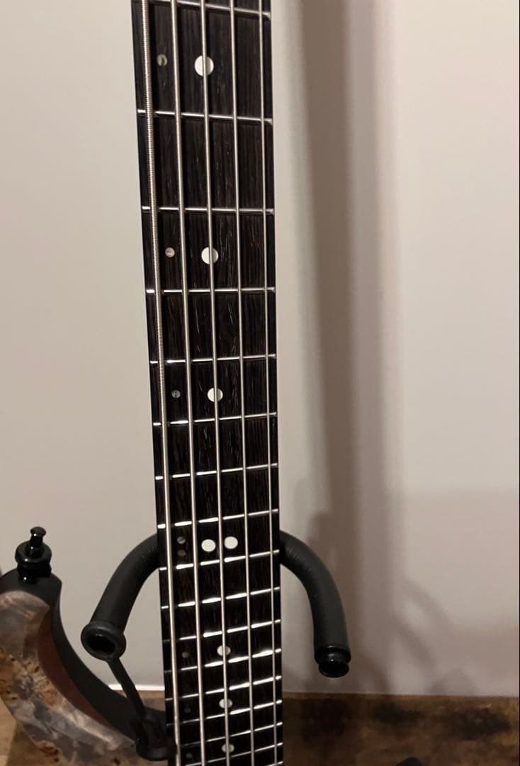 ベース Ibanez EHB1505MS