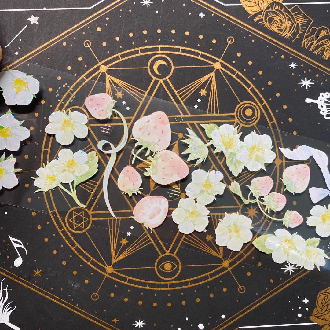 【9199】海外　マステ　中古巻　貝殻光マスキングテープ　苺　果物　お花　装飾系