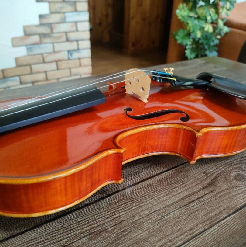 弦楽器 niko-nikoPYGMALIUS ST-03 4/4 1983